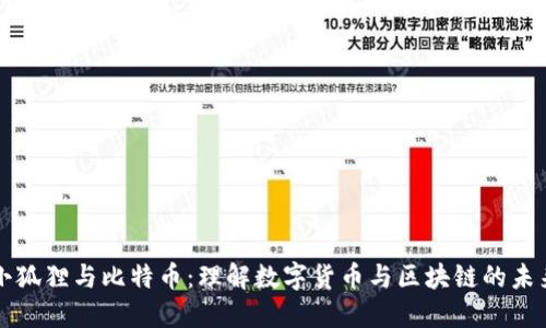 小狐狸与比特币：理解数字货币与区块链的未来