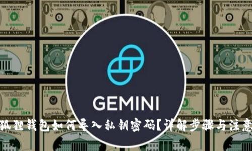 : 小狐狸钱包如何导入私钥密码？详解步骤与注意事项