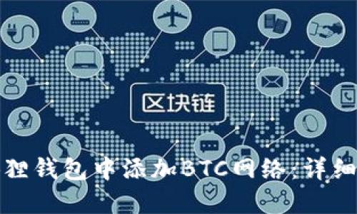 如何在小狐狸钱包中添加BTC网络：详细步骤与技巧