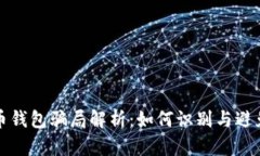 虚拟币钱包骗局解析：如何识别与避免诈骗