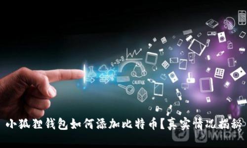 小狐狸钱包如何添加比特币？真实情况揭秘