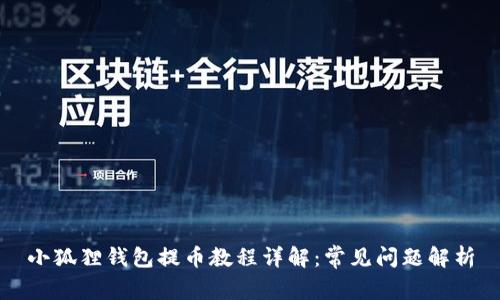 小狐狸钱包提币教程详解：常见问题解析