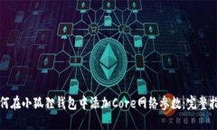 如何在小狐狸钱包中添加Core网络参数：完整指南
