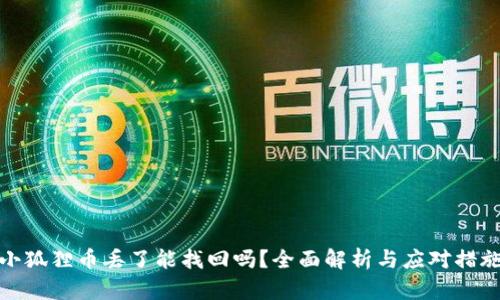 小狐狸币丢了能找回吗？全面解析与应对措施