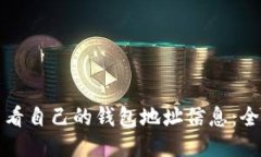 如何查看自己的钱包地址信息：全面指南