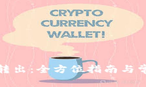小狐狸钱包转出：全方位指南与常见问题解答
