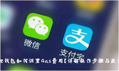 小狐狸钱包如何设置Gas费用？详解操作步骤与最佳实践