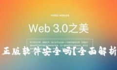 小狐狸钱包正版软件安全吗？全面解析与用户指