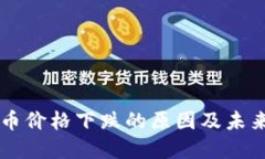 狗狗币价格下跌的原因及未来展望