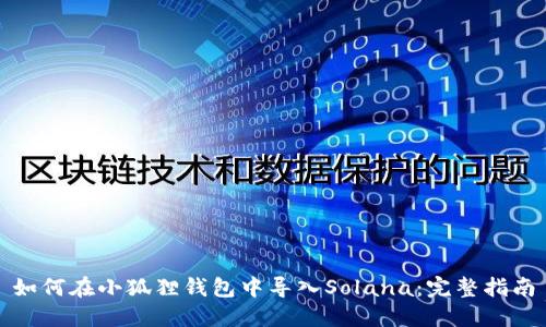 如何在小狐狸钱包中导入Solana：完整指南