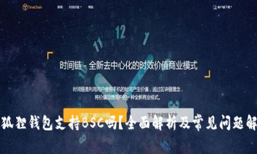 小狐狸钱包支持BSC吗？全面解析及常见问题解答