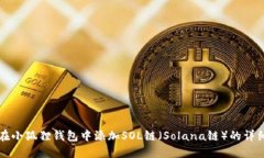 如何在小狐狸钱包中添加SOL链（Solana链）的详细