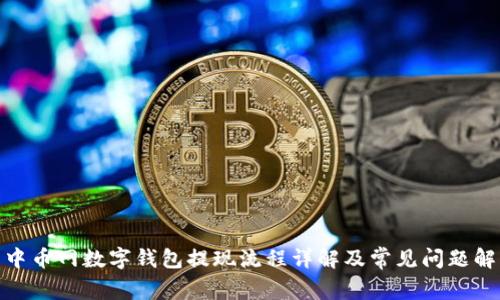 : 中币网数字钱包提现流程详解及常见问题解答
