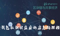 小狐狸钱包私钥被盗后的应急处理措施指南
