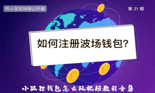 
小狐狸钱包怎么玩视频教程全集