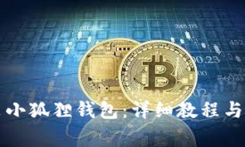 如何快速安装小狐狸钱包：详细教程与常见问题解析