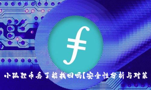 小狐狸币丢了能找回吗？安全性分析与对策