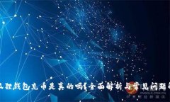 小狐狸钱包充币是真的吗？全面解析与常见问题