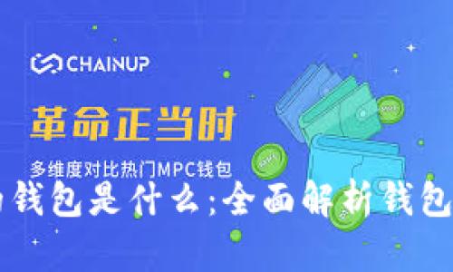 区块链中的钱包是什么：全面解析钱包类型与功能