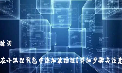 与关键词

如何在小狐狸钱包中添加波场链？详细步骤与注意事项