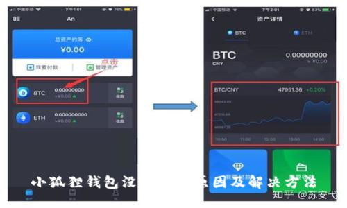 小狐狸钱包没到账的原因及解决方法