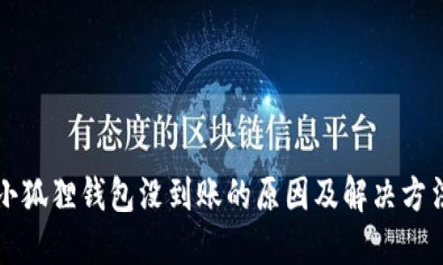 小狐狸钱包没到账的原因及解决方法