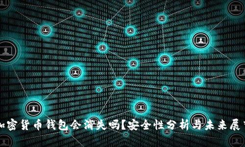 加密货币钱包会消失吗？安全性分析与未来展望