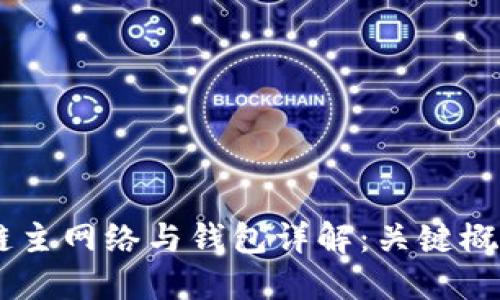 biasoti区块链主网络与钱包详解：关键概念与应用场景