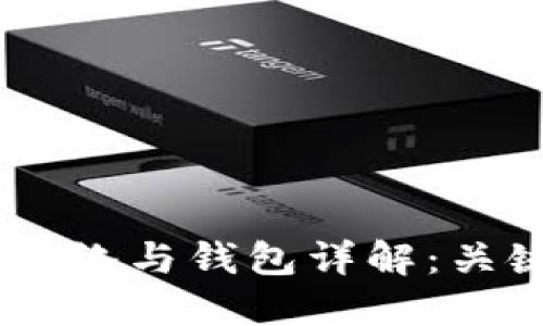 biasoti区块链主网络与钱包详解：关键概念与应用场景
