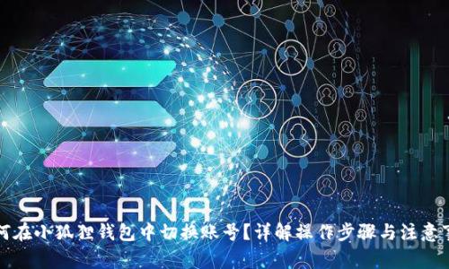 如何在小狐狸钱包中切换账号？详解操作步骤与注意事项