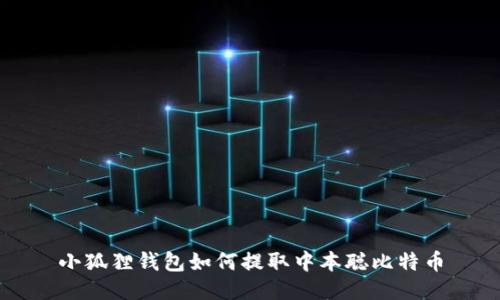 小狐狸钱包如何提取中本聪比特币