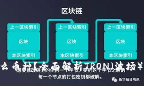 TRX是什么币种？全面解析TRON（波场）及其应用