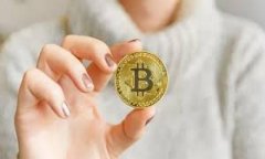 狐狸钱包APP官方下载：苹果用户的数字资产管理