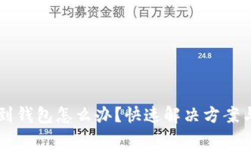 虚拟币搜索不到钱包怎么办？快速解决方案与常见问题解析