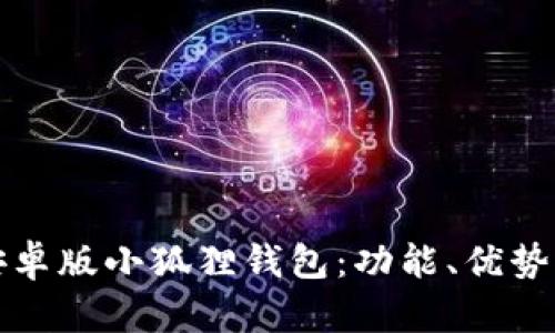 全面解析安卓版小狐狸钱包：功能、优势与使用教程