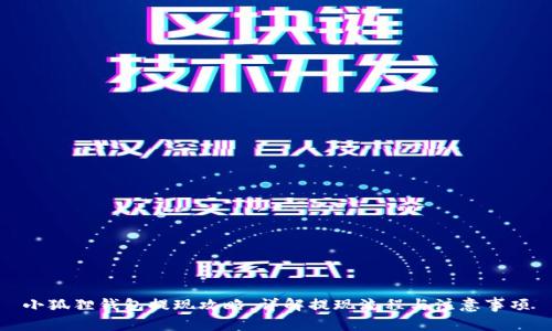 小狐狸钱包提现攻略：详解提现流程与注意事项