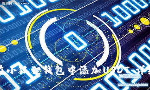如何在小狐狸钱包中添加USDT：详细指南
