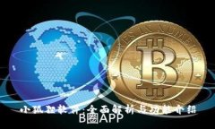小狐狸软件：全面解析与功能介绍
