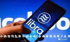 小狐狸钱包软件安全吗？全面分析与用户反馈