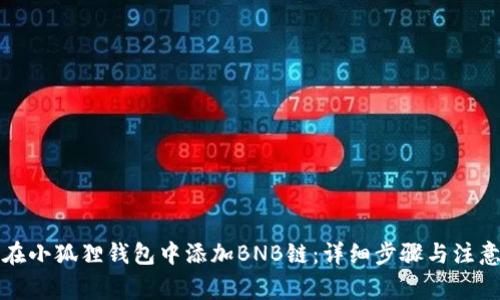 如何在小狐狸钱包中添加BNB链：详细步骤与注意事项