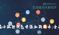 如何在小狐狸钱包中添加狗狗币：全面指南