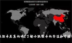 小狐狸币是真的吗？了解小狐狸币的价值和市场