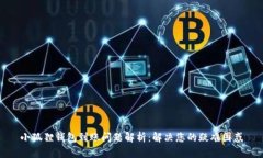 小狐狸钱包到账问题解析：解决您的疑难困惑