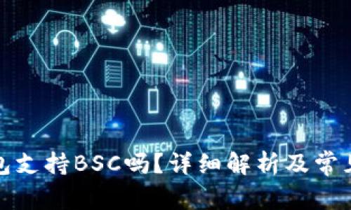 小狐狸钱包支持BSC吗？详细解析及常见问题解答