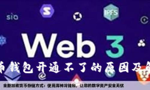 数字货币钱包开通不了的原因及解决方案