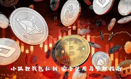 小狐狸钱包私钥：安全使用与管理指南