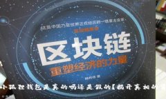 : 小狐狸钱包是真的吗还是假的？揭开真相的背后