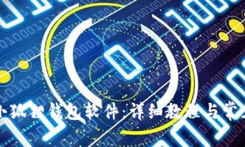 如何安装小狐狸钱包软件：详细教程与常见问题解答