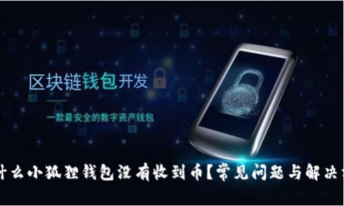 为什么小狐狸钱包没有收到币？常见问题与解决方案