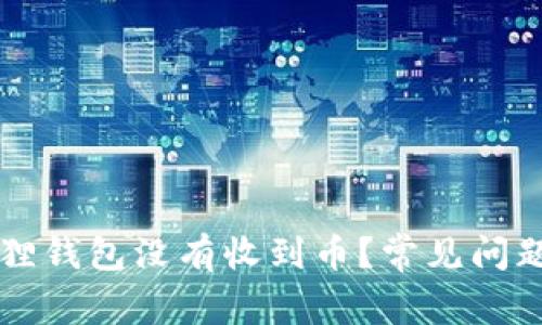 为什么小狐狸钱包没有收到币？常见问题与解决方案